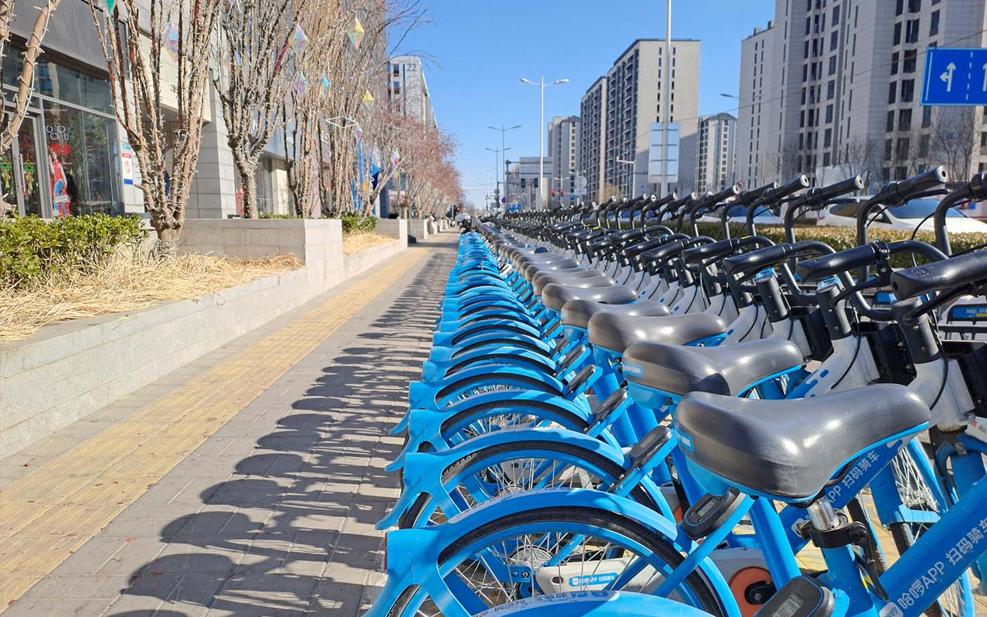 A long row of blue Hellobike shared bicycles parked along a city street